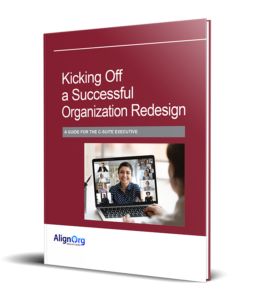 Kicking Off a Successful Organization Redesign