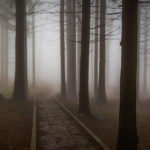 A foggy path is a metaphor for poor role clarity in the workplace