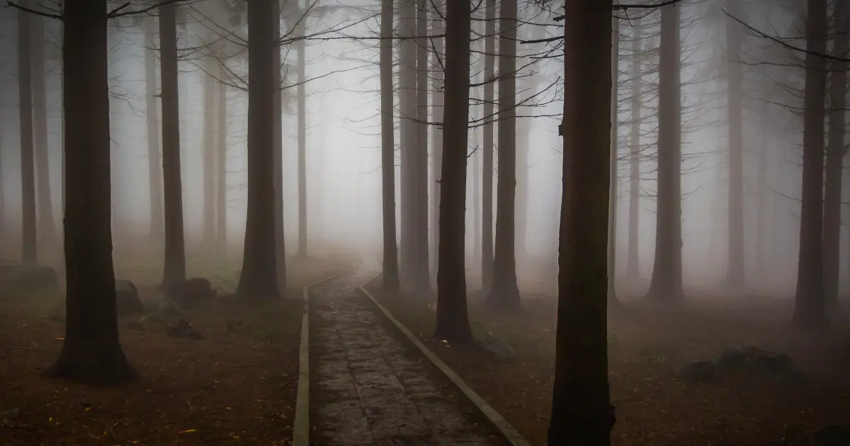 A foggy path is a metaphor for poor role clarity in the workplace