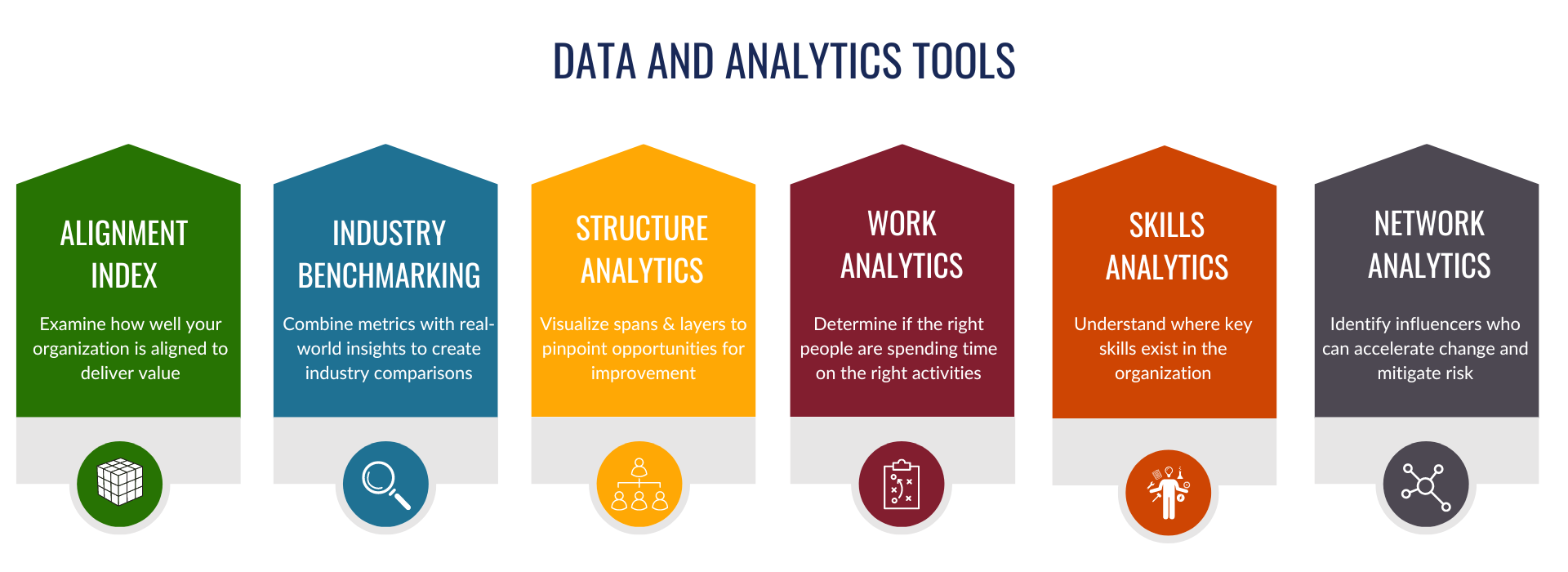 AlignOrg's Data and Analytics suite