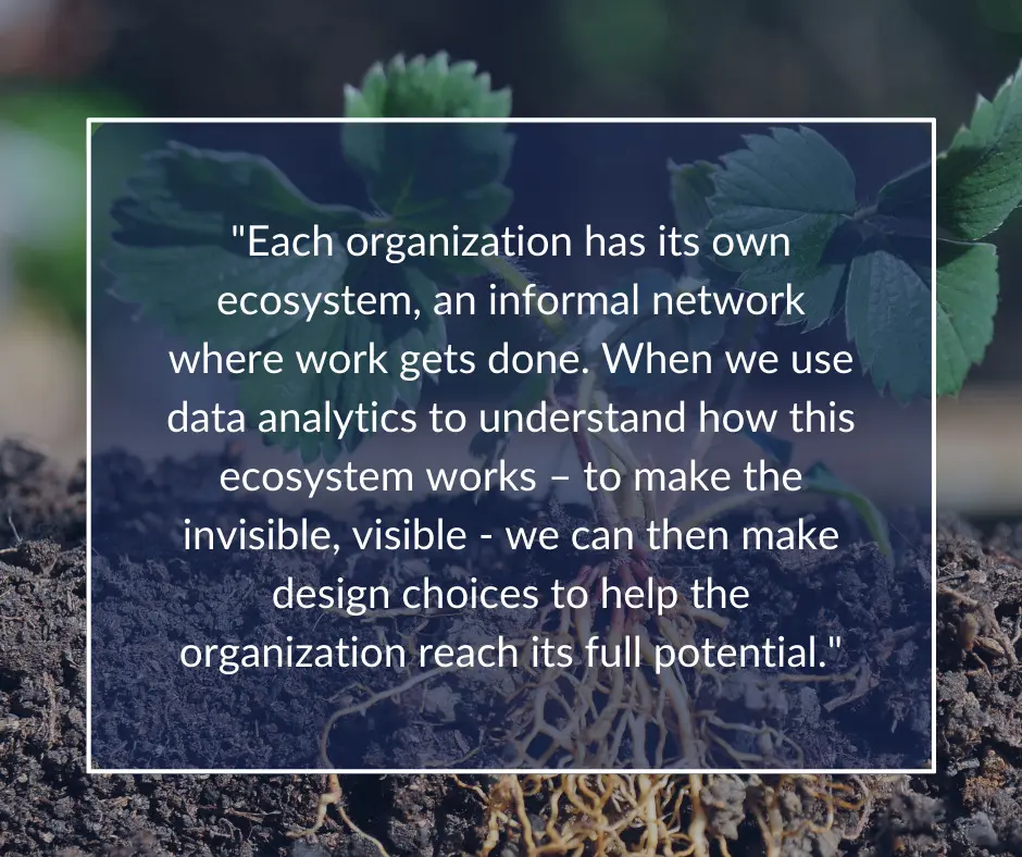 Quote about the power of data analytics when seeking to maximize organization design