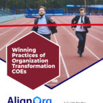 Flat cover of AlignOrg Solutions' Organization Transformation COE Executive Guide