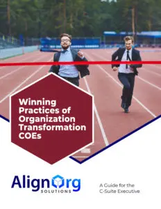 Flat cover of AlignOrg Solutions' Organization Transformation COE Executive Guide
