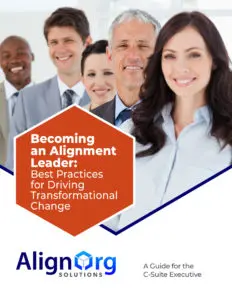 Flat cover of AlignOrg Solutions' Alignment Leader Executive Guide