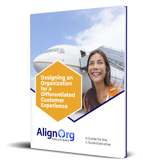 Angled view of AlignOrg Solutions' Differentiated Customer Experience Executive Guide