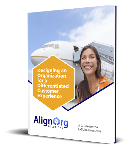 Angled view of AlignOrg Solutions' Differentiated Customer Experience Executive Guide