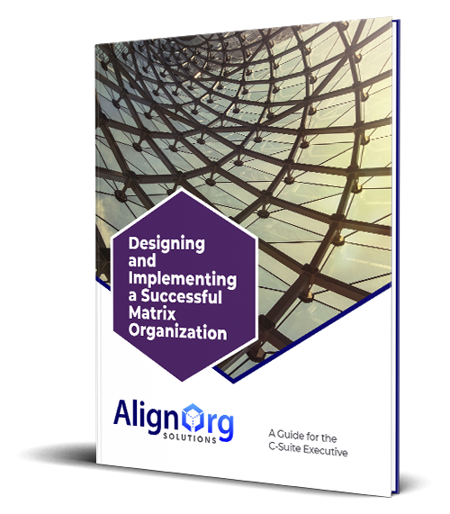 Angled view of AlignOrg Solutions' Matrix Executive Guide