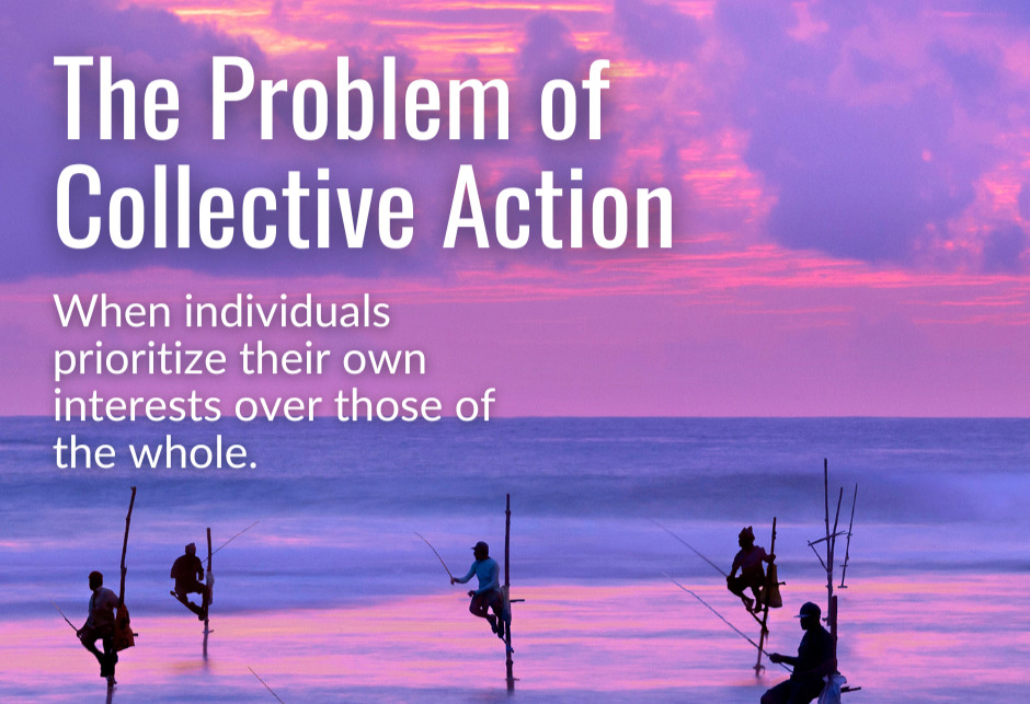A definition of the problem of collective action 