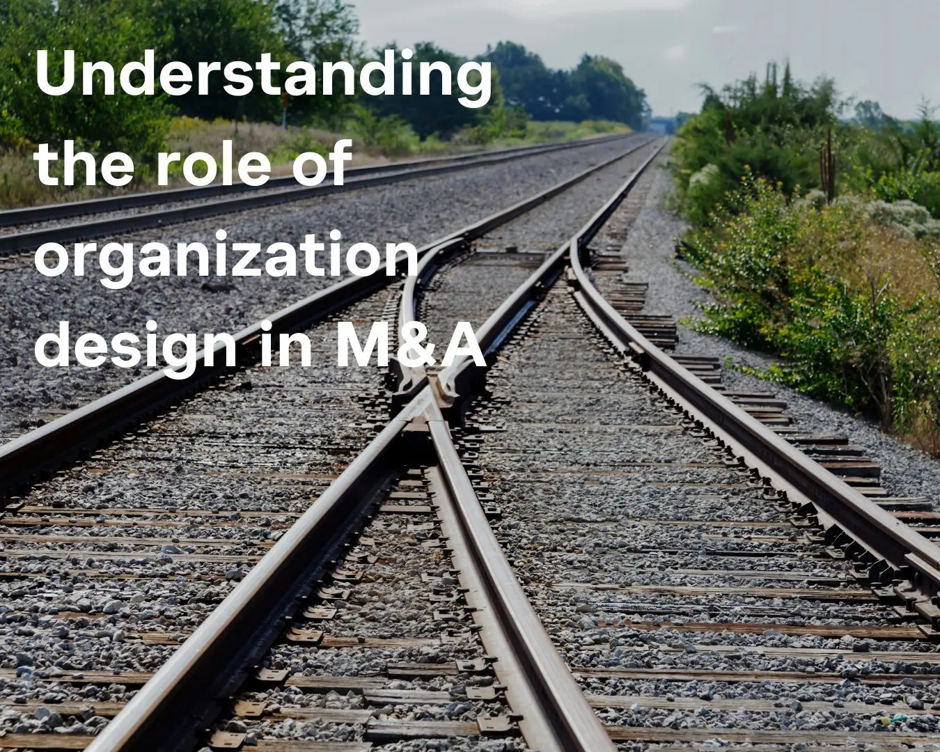 Understanding the role of organization design in M&A