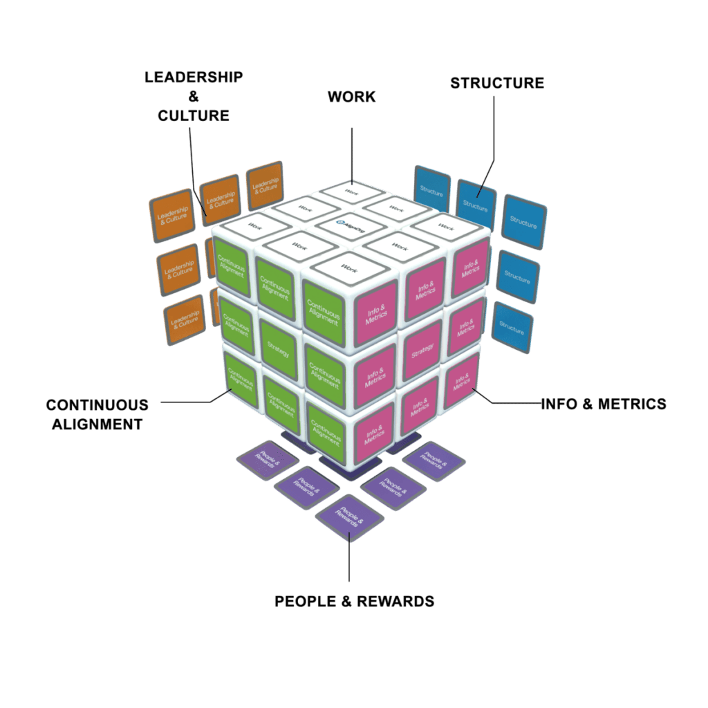 AlignOrg Cube Model