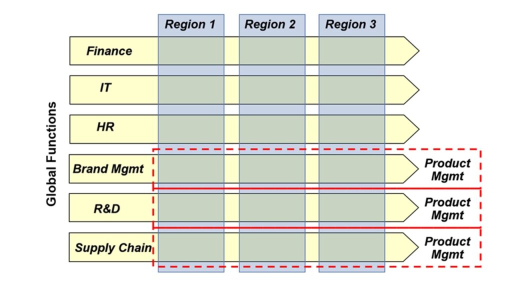 Dotted Line Vs Solid Line Org Chart