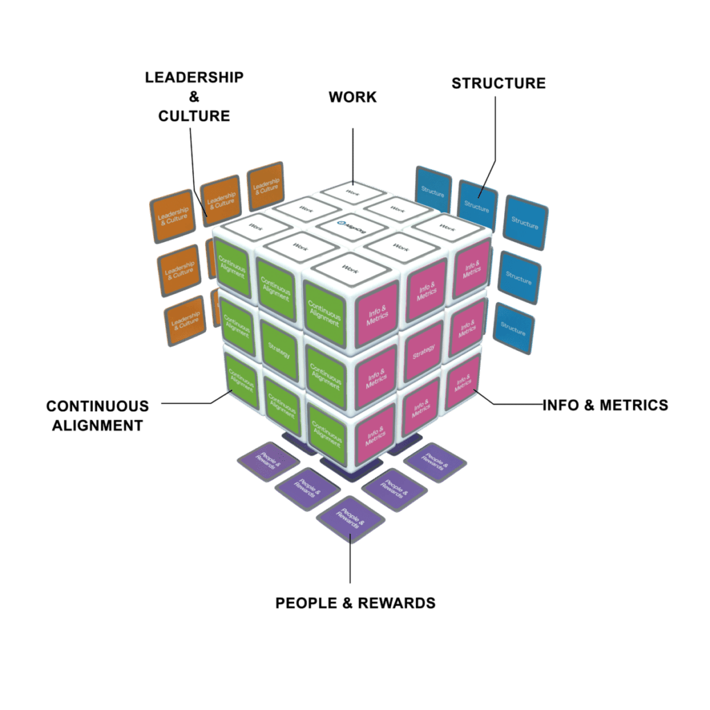 AlignOrg Cube Model