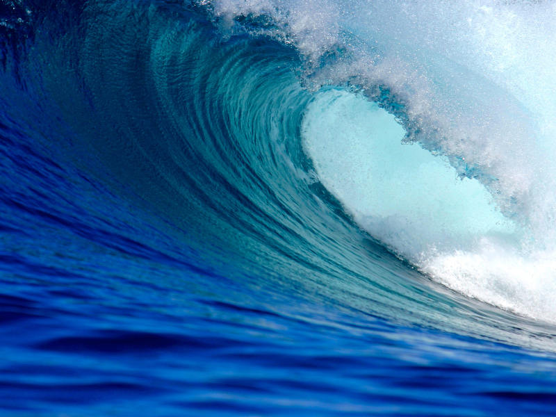 Ocean wave symbolizing transformation momentum.